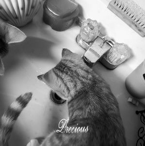 Meet your Posher, Joseph